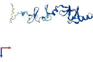 LMO2 Protein (AA 1-158) (His tag)