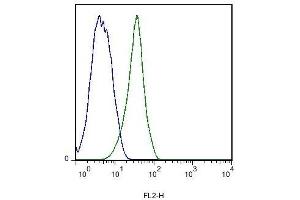 Stabilin 2 (STAB2) (AA 2201-2300) Antikörper