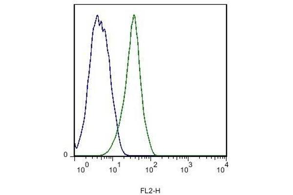 Stabilin 2 (STAB2) (AA 2201-2300) Antikörper