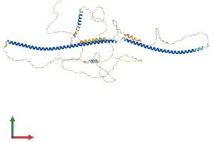 Protein Structure (PS) image for Leber Congenital Amaurosis 5 (LCA5) (AA 1-704) protein (His tag) (ABIN7558309)