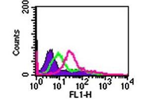 Cell-surface flow cytometry analysis of IL24 in Jurkat cells. (IL-24 Antikörper  (AA 100-150))
