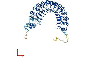 Protein Structure (PS) image for F-Box and Leucine-Rich Repeat Protein 2 (FBXL2) (AA 1-423) protein (His tag) (ABIN7553908)