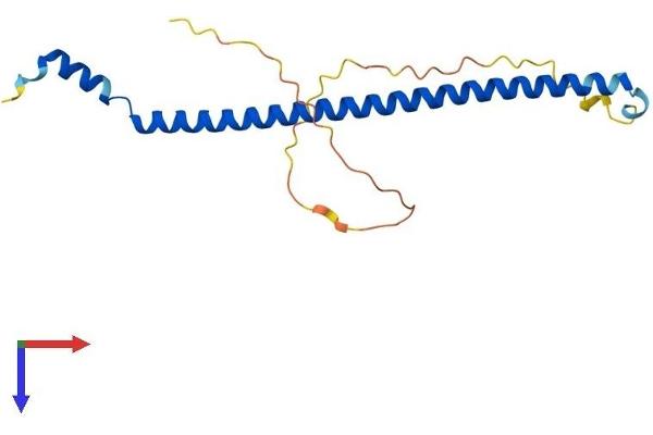 C19orf50 Protein (AA 1-176) (His tag)