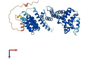 TAF1A Protein (AA 1-453) (His tag)