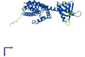 C9orf100 Protein (AA 1-335) (His tag)