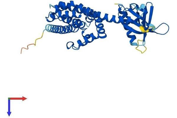 C9orf100 Protein (AA 1-335) (His tag)