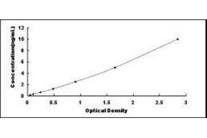 RalA Binding Protein 1 (RALBP1) ELISA Kit