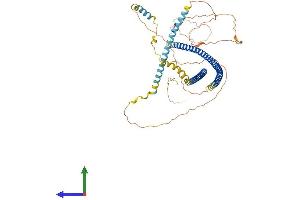 Protein Structure (PS) image for Intermediate Filament Family Orphan 1 (IFFO1) (AA 1-559) protein (His tag) (ABIN7548426)