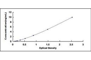Typical standard curve (B3GALT2 ELISA Kit)