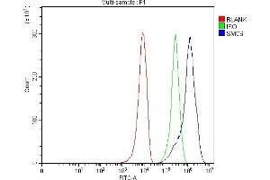 Flow Cytometry analysis of 293T cells using anti-SMC6 antibody (ABIN7601864). (SMC6 Antikörper  (AA 499-1018))