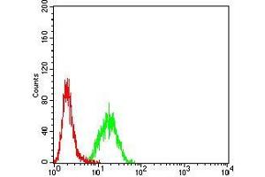 Flow cytometric analysis of Hela cells using MITF mouse mAb (green) and negative control (red). (MITF Antikörper  (AA 1-114))