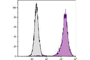 Human peripheral blood granulocytes were stained with Mouse Anti-Human CD11b-PE. (CD11b Antikörper  (PE))