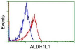 Image no. 2 for anti-Aldehyde Dehydrogenase 1 Family, Member L1 (ALDH1L1) antibody (ABIN1496582) (ALDH1L1 Antikörper)