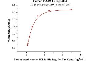 Immobilized Human PCSK9, Fc Tag (ABIN6386430,ABIN6388267) at 5 μg/mL (100 μL/well) can bind Biotinylated Human LDL R, His Tag, Avi Tag (ABIN5954921,ABIN6253570) with a linear range of 0.
