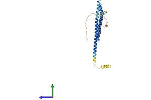 AlphaFold protein structure predicition of Mouse Recombinant Mipol1 Protein, UniprotID Q9D9F8