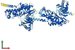 Protein Structure (PS) image for Hexokinase 2 (HK2) (AA 1-917) protein (His tag) (ABIN7548361)