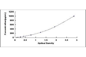 Typical standard curve (CCL24 ELISA Kit)