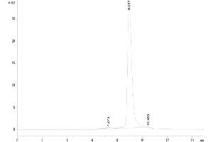 Size-exclusion chromatography-High Pressure Liquid Chromatography (SEC-HPLC) image for CD33 (CD33) (AA 17-248) protein (His tag) (ABIN7274127)