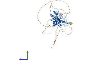 Protein Structure (PS) image for Fragile X Mental Retardation 1 (FMR1) (AA 1-632) protein (His tag) (ABIN7553950)