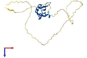 RBM38 Protein (AA 1-237) (His tag)