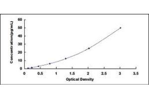 Typical standard curve (FLT3LG ELISA Kit)