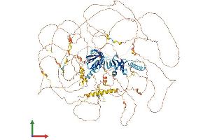 Protein Structure (PS) image for Insulin Receptor Substrate 4 (IRS4) (AA 1-1216) protein (His tag) (ABIN7565263)