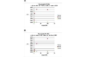ELISA image for anti-Amyloid beta 1-40 (Abeta 1-40) (AA 33-40) antibody (ABIN1742443) (Abeta 1-40 Antikörper  (AA 33-40))