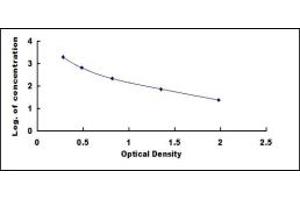 Typical standard curve (GLP-2 ELISA Kit)