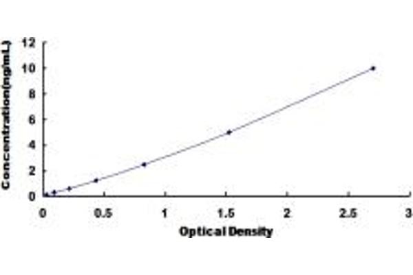 PRM1 ELISA Kit