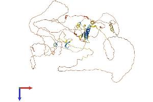 C1orf103 Protein (AA 1-755) (His tag)