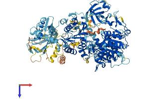 MOV10 Protein (AA 1-1004) (His tag)