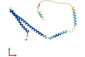 Protein Structure (PS) image for Charged Multivesicular Body Protein 4A (CHMP4A) (AA 1-222) protein (His tag) (ABIN7553322)