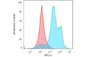 Flow Cytometric Analysis of paraformaldehyde-fixed HeLa cells using Histone H1 Rabbit Recombinant Monoclonal Antibody (HH1/1784R) followed by goat anti-rabbit IgG-CF488 (Blue); Isotype Control (Red). (Rekombinanter Histone H1 Antikörper)