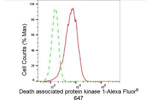 Flow cytometric analysis of Death associated protein kinase 1 expression in HepG2 cells using Death associated protein kinase 1 antibody (ABIN7798295), 1:2,000). (Rekombinanter DAP Kinase 1 Antikörper)