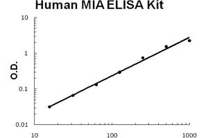 Human MIA Accusignal ELISA Kit Human MIA AccuSignal ELISA Kit standard curve.