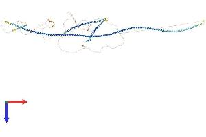 SPAG5 Protein (AA 1-1193) (His tag)