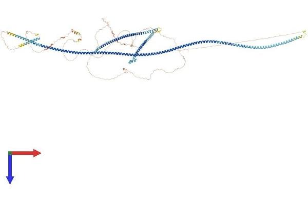 SPAG5 Protein (AA 1-1193) (His tag)