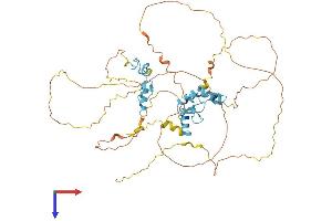 INSM1 Protein (AA 1-510) (His tag)