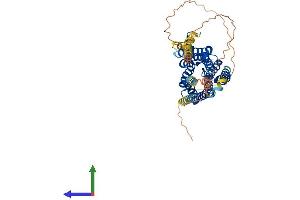 Protein Structure (PS) image for 5-Hydroxytryptamine (serotonin) Receptor 2A (HTR2A) (AA 1-471) protein (His tag) (ABIN7563165)