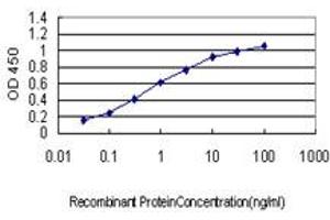 ELISA image for anti-Activating Transcription Factor 4 (Tax-Responsive Enhancer Element B67) (ATF4) (AA 171-270) antibody (ABIN559979)