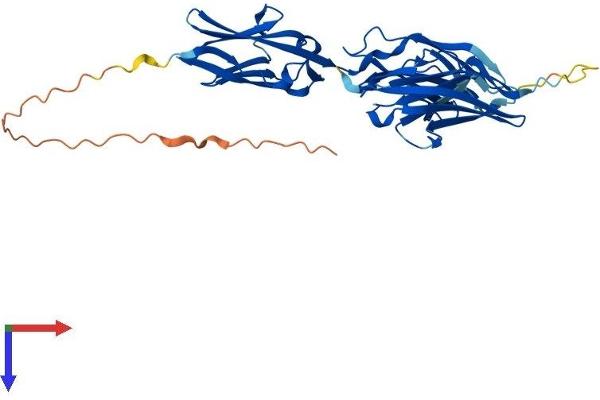 MYBPHL Protein (AA 1-355) (His tag)