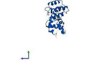 Protein Structure (PS) image for Regulator of G-Protein Signaling 5 (RGS5) (AA 1-181) protein (His tag) (ABIN7562215)