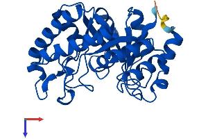 HYI Protein (AA 1-277) (His tag)