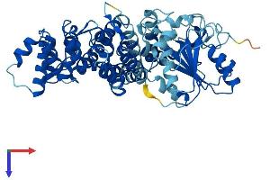TROVE2 Protein (AA 1-538) (His tag)