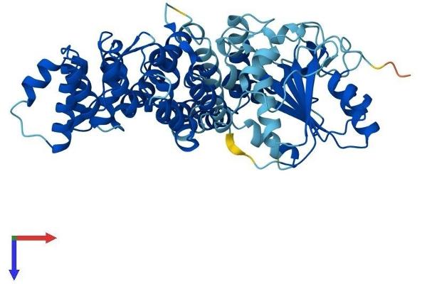 TROVE2 Protein (AA 1-538) (His tag)