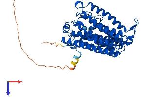 CEPT1 Protein (AA 1-416) (His tag)