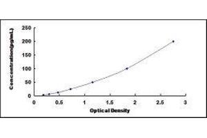 ELISA image for Matrix Metalloproteinase 2 (MMP2) ELISA Kit (ABIN415973)
