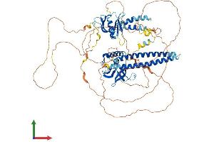 Protein Structure (PS) image for Actin Filament Associated Protein 1-Like 1 (AFAP1L1) (AA 1-768) protein (His tag) (ABIN7559043)