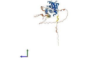 Protein Structure (PS) image for Dual Specificity Phosphatase 11 (RNA/RNP Complex 1-Interacting) (DUSP11) (AA 1-321) protein (His tag) (ABIN7557966)