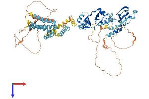 Cyclin M3 Protein (CNNM3) (AA 1-713) (His tag)